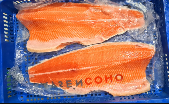 Fillet cá hồi Coho Chile nguyên miếng